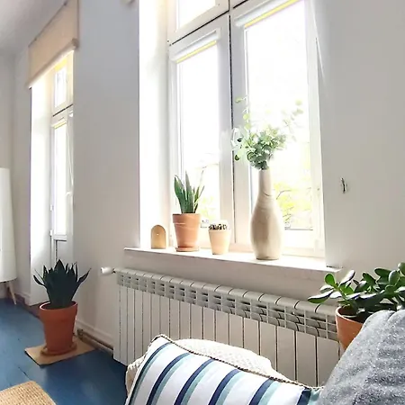 Prawdziwy
